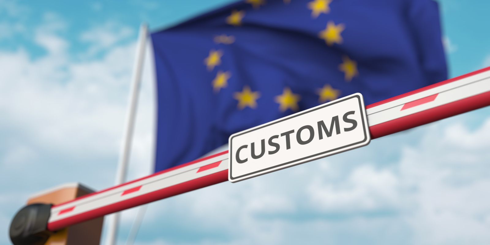 Government grant for customs training funding